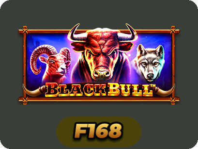 Black Bull